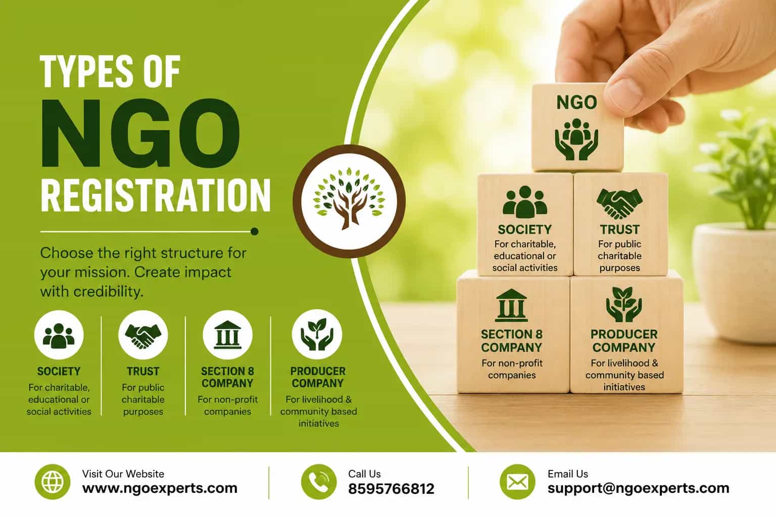 Types of Ngo Registration
