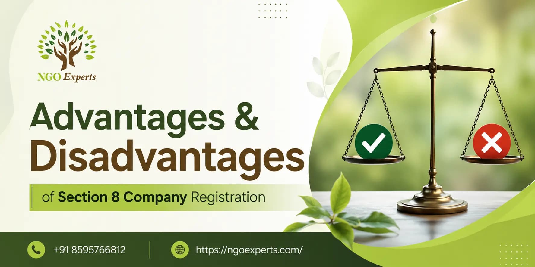 Advantages and Disadvantages of Section 8 Company Registration
