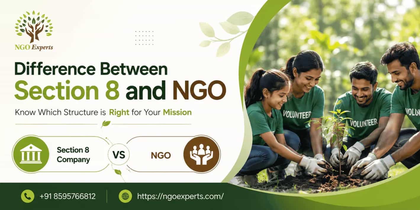Difference between Section 8 and NGO