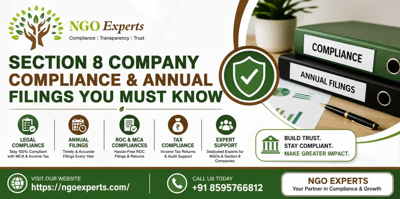 Section 8 Company Compliance & Annual Filings You Must Know