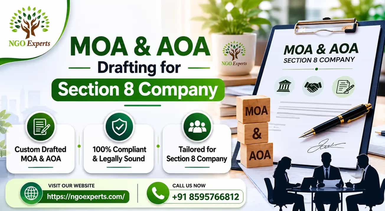 MOA & AOA Drafting for Section 8 Company