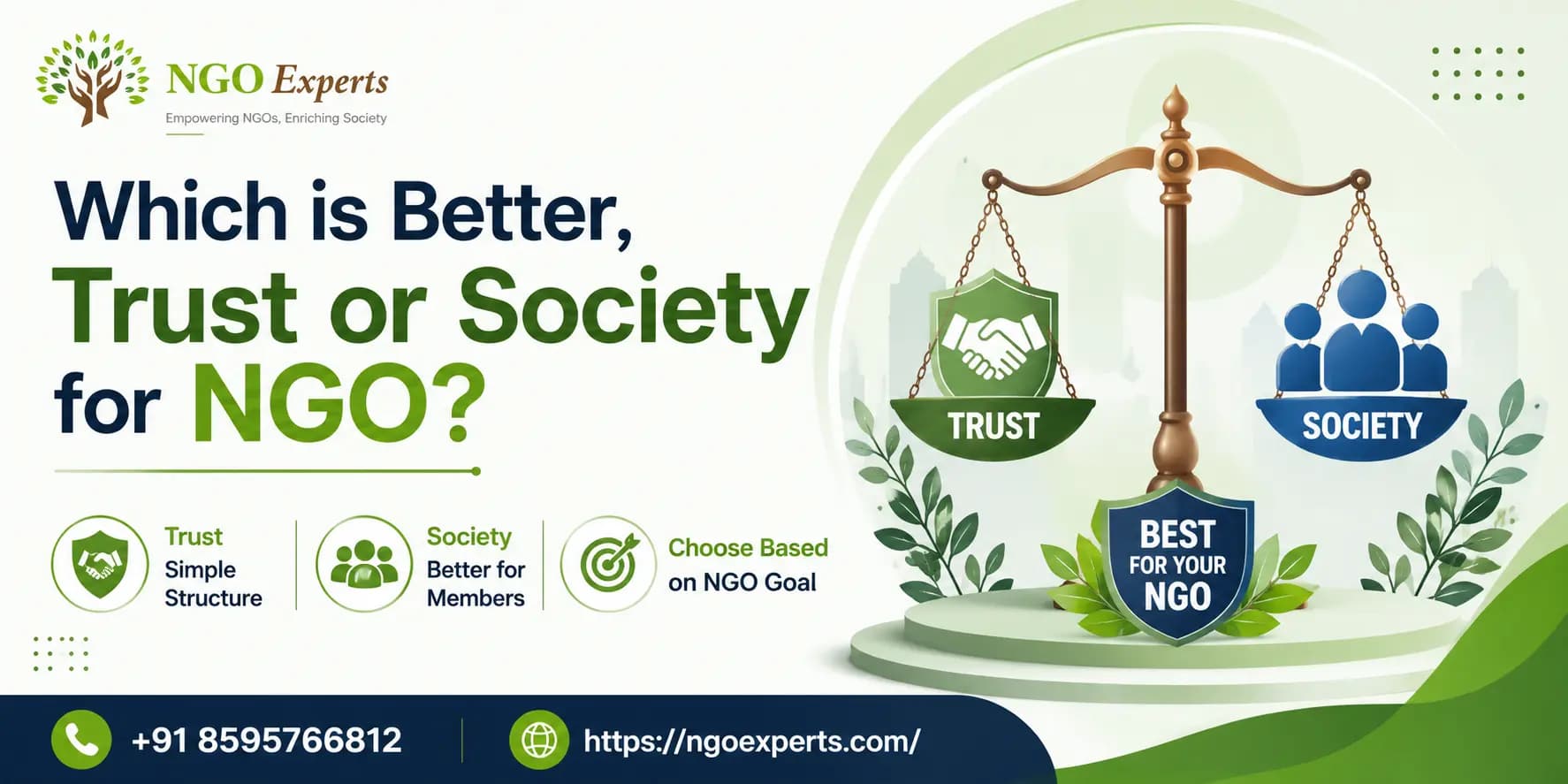 Which is better, trust or society for NGO?