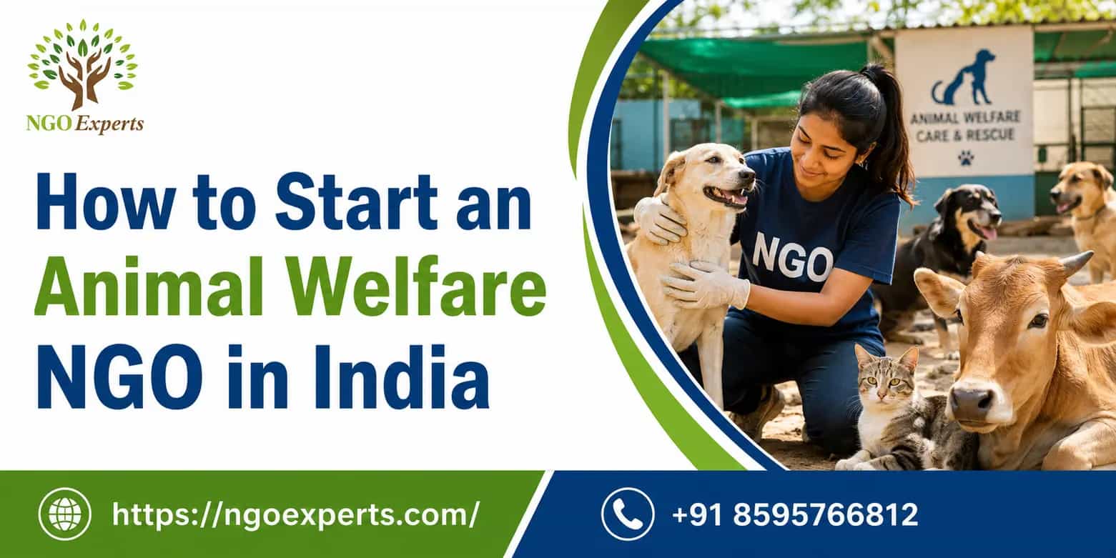 How to Start an Animal Welfare NGO in India