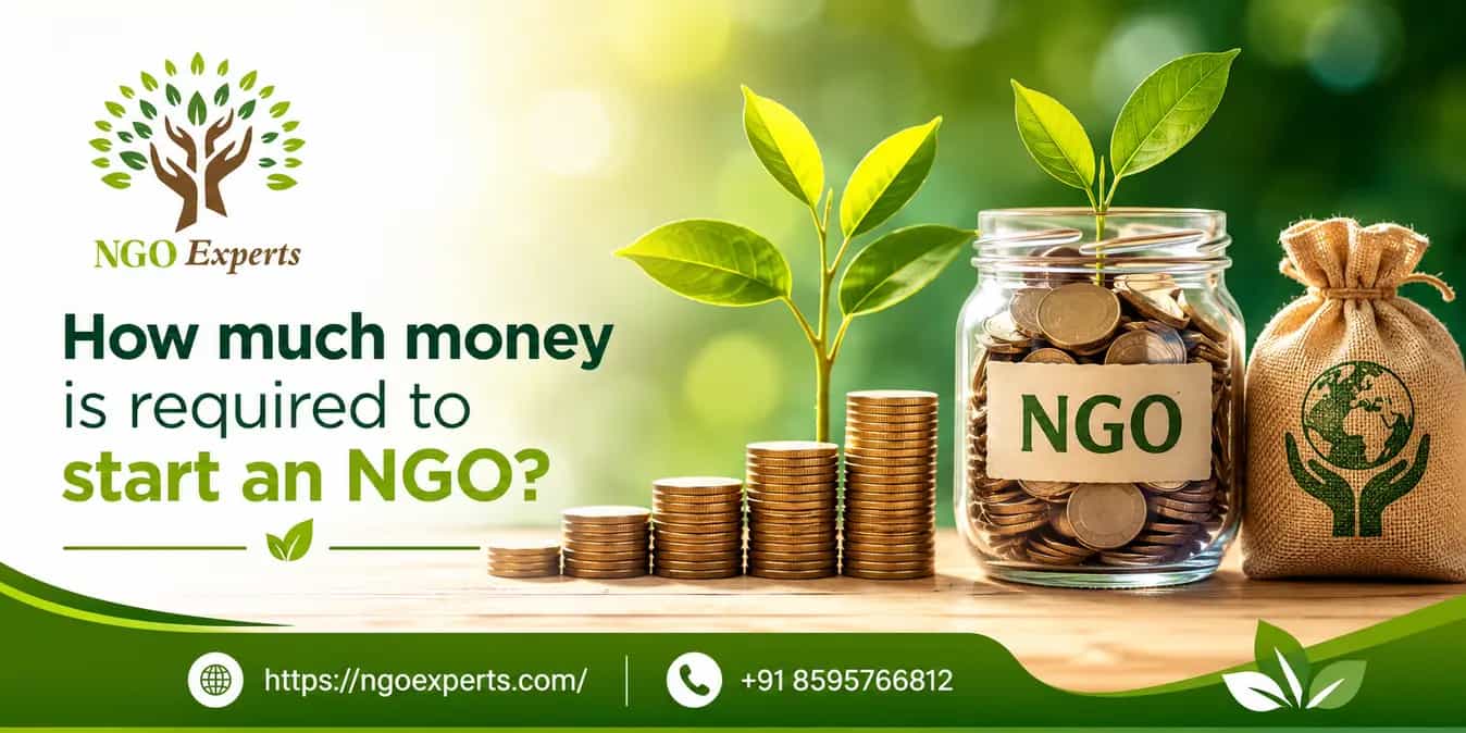 How much money is required to start an NGO?