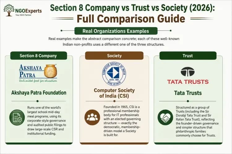 Which NGO Structure Offers the Best Balance of Cost, Compliance, and Credibility
