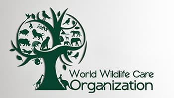 World Wildlife Care Organization